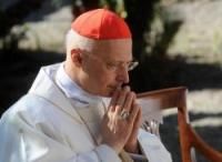 Італійський ієрарх: суспільству потрібно багато освічених католиків
